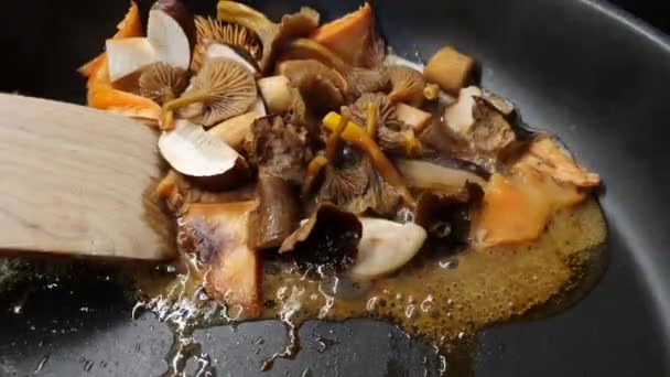 Tereyağında Yabani Mantar Pişiriyorum Tavada Kızarmış Yabani Mantarlar Çek Cumhuriyeti — Stok video
