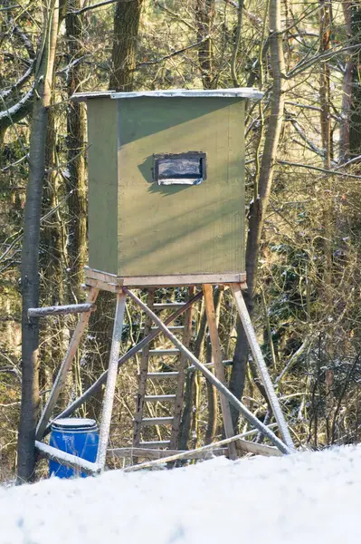 Ormandaki avcılar ve av hayvanları için yüksek bir yer. Çek Cumhuriyeti doğası.