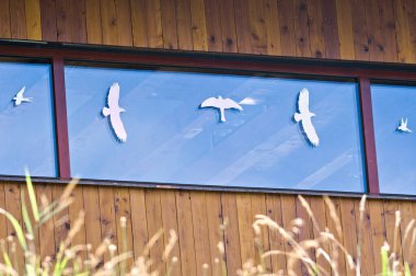 Windows with shiny silhouettes of birds. Bird protection. Bird hits and collisions with glass prevention. House in the nature. clipart