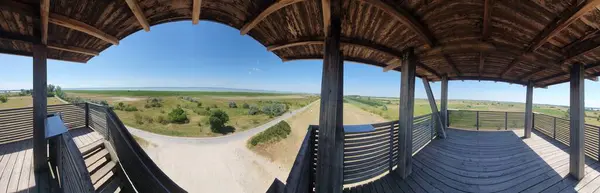 Neusiedler See 'nin çevresindeki bisiklet yolu. Podersdorf yakınlarındaki bir turistik bölgede. Burgenland, Avusturya.