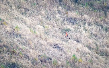 Dağ çayırında tek başına çalışan bir adamın minimalist fotoğrafı..