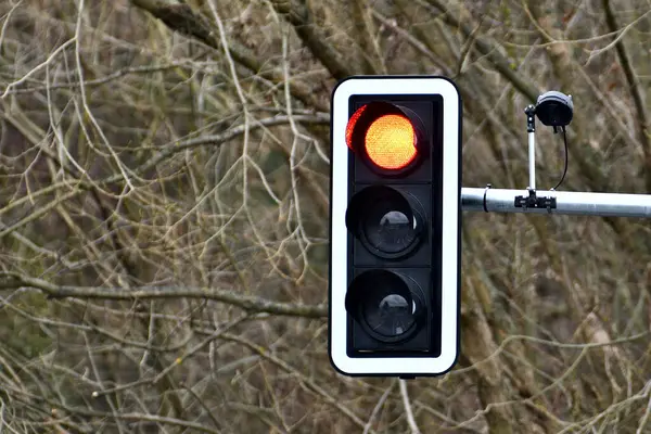 Trafik ışıklarında kırmızı ışık yanmasın. Olumsuz kopyalama alanı.