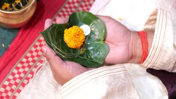 Indischer Bräutigam Mit Ringelblumenblättern Und Geld Der Hand Während Eines — Stockvideo