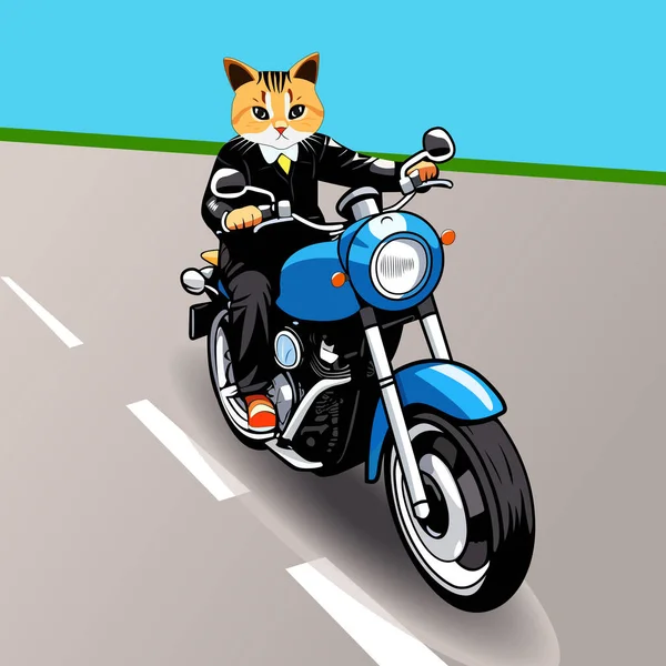 Cat Riding Motorcycle Vector — Stock Vector