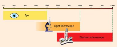 illustration of physics, Looking at small objects with the eye and with light microscope and electron microscope, Light versus Electron Microscopy clipart