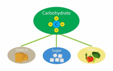 Biyolojinin bir göstergesi olarak, karbonhidratlar hem sağlıklı hem de sağlıksız çeşitli gıdalarda bulunur, en yaygın ve bol olan formlar şeker, lif ve nişasta, yüksek karbonhidrat içerir.