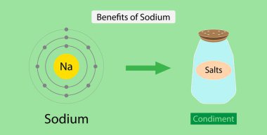Kimyanın gösterimi, Sodyumun Yararları, sıvı dengesini korur: Sodyum, uygun su seviyesini korumak için önemli olan hücrelerinizin ve çevrenizdeki sıvı miktarının düzenlenmesine yardımcı olur