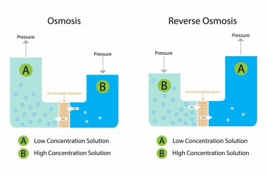 Kimya, Osmosis ve Ters Osmosis örnekleri, yarı geçirgen zardan daha az yoğunlaştırılmış kısma, yarı geçirgen membrana geçiş.