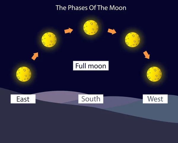Illustration Der Physik Und Astronomie Mondphasen Mondphasen Mondzyklus Astrologie Konzeptionelle — Stockvektor