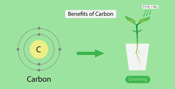 화학의예 탄소의 탄소는 성장에 이산화 탄소의 요소이고 이산화 탄소는 광합성의 — 스톡 벡터