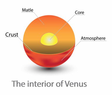 Venüs 'ün yapı çekirdeği, Venüs' ün yapı katmanları, Venüs 'ün kabuğunun yapısı, Venüs çapraz kesiti, jeolojik katmanlı iç yapı.