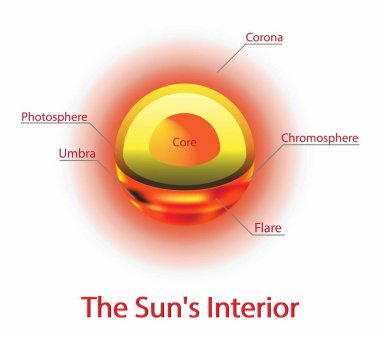 Astronomi ve kozmolojinin örnekleri, Güneş 'in iç kısmı, Güneş' in Anatomisi, Güneş temel olarak dev bir gaz ve plazma topudur, iç katmanlar Çekirdek, Radyasyon Bölgesi, Koruma Alanı 'dır.