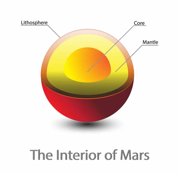 Structure Noyau Mars Couches Structure Mars Structure Croûte Mars Coupe — Image vectorielle