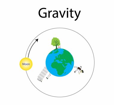 Fiziğin tasviri, serbest düşen bir nesnenin hareketi, vakumda düşen tüm cisimler boyutları, şekilleri veya kütlesi ne olursa olsun aynı hızda ivmelenir, Ay Dünya 'nın etrafında döner.