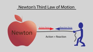 Fiziğin çizimi, Newton 'un üçüncü hareket yasası, yerçekimi yasası, aksiyon reaksiyon reaksiyonu kuvveti, Newton Üçüncü Hareket Bilgi Diyagramı eylem reaksiyonu yönünü gösteren