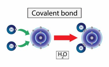 Kimya, kovalent bağ, kovalent bağ, örneğin su molekülü (H2O), tek, çift ve üçlü bağlar içeren kovalent bağlar, Kovalent bağ tiplerinin Bilimsel Tasarımı