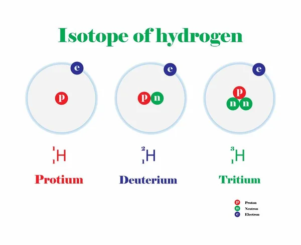วอย างของเคม ไอโซโทปของไฮโดรเจน ไอโซโทปสามต วของไฮโดรเจน โครงสร างอะตอม ไอโซโทปเคม แตกต างก — ภาพเวกเตอร์สต็อก