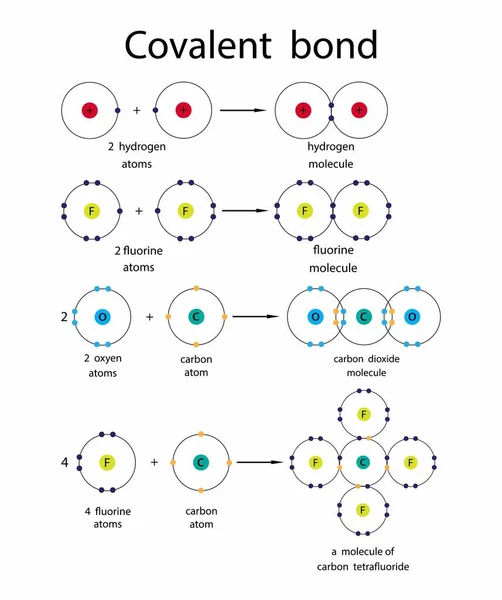 Illustration Chemistry Covalent Bond Covalent Bonds Including Single Double Triple — Stock Vector