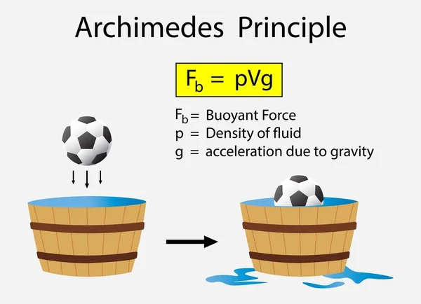 Fiziğin Arşimet Prensipleri Nin Yüzer Kuvvet Illüstrasyonunun Arşimet Prensipleri Deneylerinin — Stok Vektör