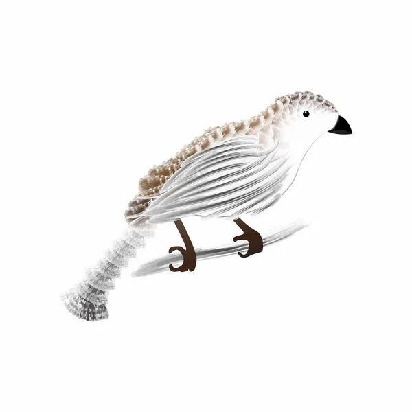 Illustrazione Animali Pittura Arte Uccello Dipinti Uccelli Bocconcini Squisiti Arte — Vettoriale Stock