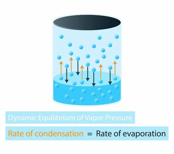 化学のイラスト 蒸気圧の動的平衡 分子の運動は 蒸気圧力の観測現象を作成するアクションです 液相と蒸気相の間の平衡 — ストックベクタ