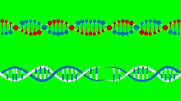 Dna分子だ 遺伝子生物学 化学生物学 遺伝子細胞概念 Dnaの分子構造 科学設計要素 Dnaの分子構造 緑の画面 — ストック動画