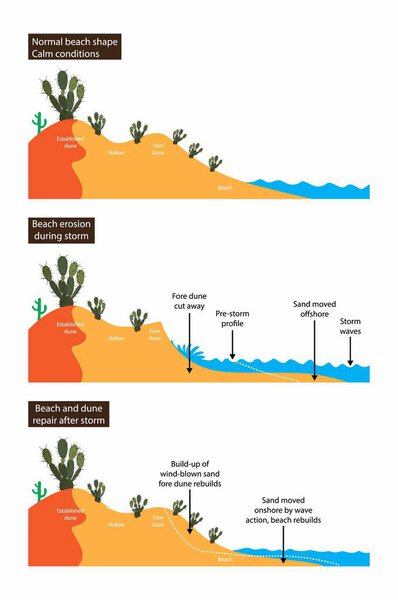 иллюстрация физики, эрозия пляжа во время шторма, ремонт пляжа и дюн после шторма, эрозия берегов и дюн во время штормовых волн, механизмы отказа Дюны, скальп Дюны после обрушения, Геологически