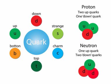 illustration of physics and chemistry, quark is a type of elementary particle and a fundamental constituent of matter, proton is composed of two up quarks, one down quark and gluons clipart
