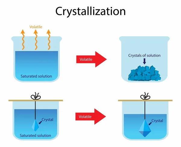 Ilustração Química Cristalização Uma Técnica Usada Para Purificação Substâncias Técnica — Vetor de Stock