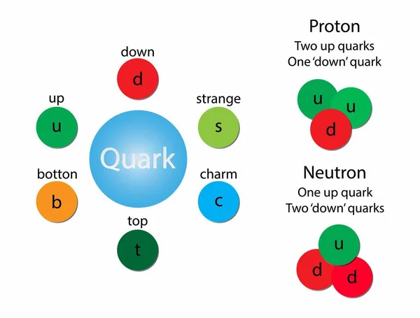 Fizik Kimyanın Gösterimi Kuark Maddenin Temel Bir Bileşenidir Proton Iki — Stok Vektör