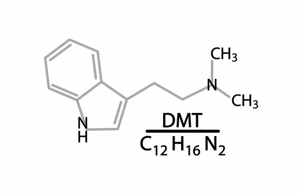 Illustration Biochemistry Chemistry Dimethyltryptamine Dmt Psychedelic Drug Molecule Main Effect — Stock Vector