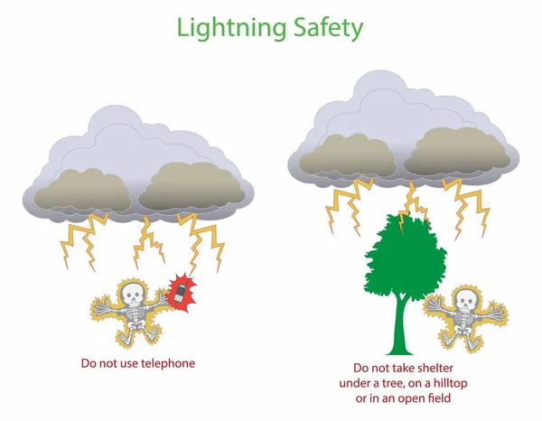 物理学的例子 闪电安全 在雷雨中不要使用你的手机 当闪电袭来时不要躲在大树下 闪电安全贴士和资源 — 图库矢量图片