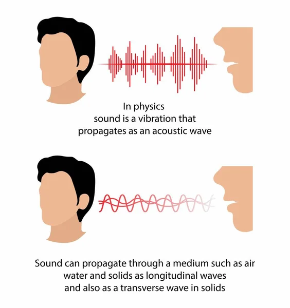 Illustration Physics Sound Vibration Propagates Acoustic Wave Speed Sound Longitudinal — Stock Vector