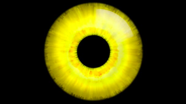 Olika Färgade Ögon Eye Rainbow Colors Ögonfärg Kontaktlins Samling Fantasy — Stockvideo