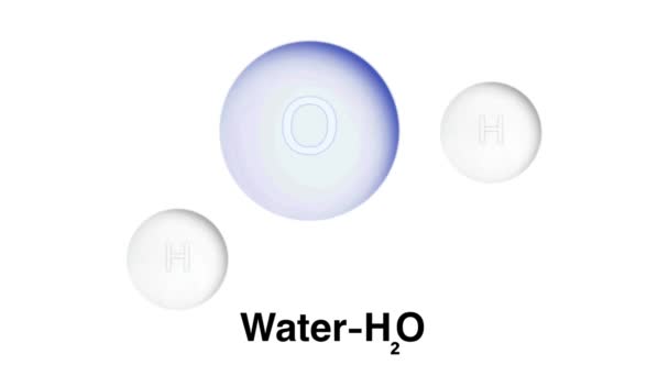 水的极性共价键 水分子的弱正负行星模型 水分子的结构和分子式 水分子结构 — 图库视频影像