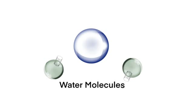 Víz Sarki Kovalens Kötései Vízmolekula Gyenge Pozitív Negatív Bolygómodellje Vízmolekula — Stock videók