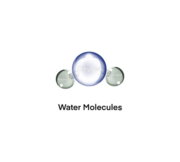 Полярные Ковалентные Связи Воды Слабо Положительная Отрицательная Планетарная Модель Молекулы — стоковое фото