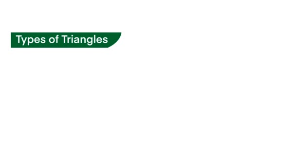 Типи Трикутників Гіпотенуза Протилежна Сусідній Трикутник Різні Типи Трикутників Математичні — стокове відео
