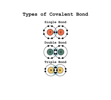 A covalent bond is a chemical bond that involves the sharing of electrons to form electron pairs between atoms, Scientific Designing Of Covalent Bond Types, Polar, Coordinate Bonds Types clipart