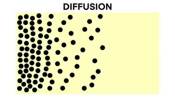 Diffusion Bewegung Von Molekülen Ionen Und Atomen Aus Einem Bereich — Stockvideo