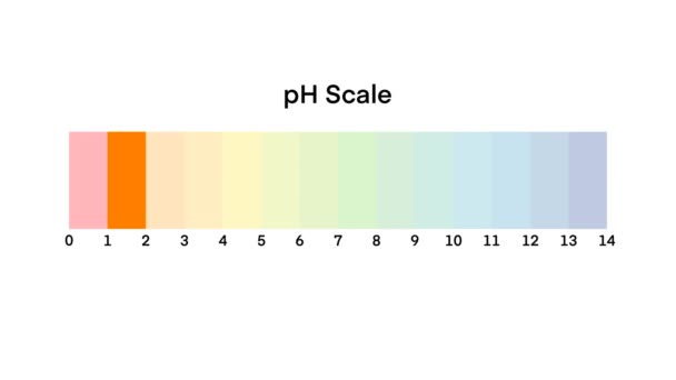 フィールスケール図 Phスケールベクトルグラフィック ベースに酸 Phスケールインフォグラフィック酸ベースバランス インジケータ図表アルカリ測定ホワイトバックグラウンドイラストで分離 — ストック動画