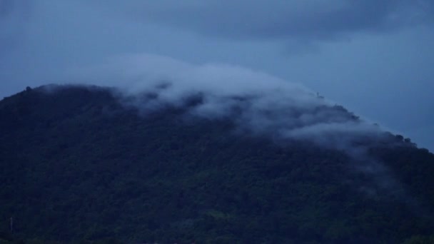 Ködös Erdő Napkeltekor Esőerdő Reggeli Köd Reggeli Köd Sűrű Trópusi — Stock videók