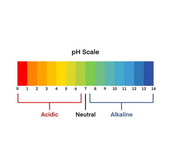 Ph比例尺图 Ph比例尺矢量图 酸对碱 Ph值比例尺信息酸对碱平衡 指示图 用白底图解分离的酸性碱性测量 — 图库照片