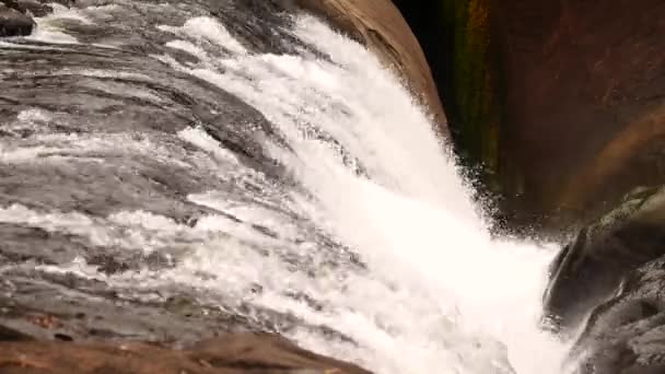 ジャングルの緑の森 滝の質感 美しい滝 滝の景色 崖の上をカスケードする強力な急速な水流から上昇する霧の水草の美しい滝 — ストック動画