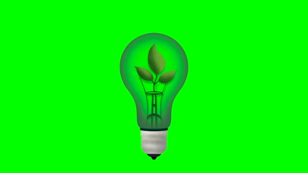 绿色环保灯泡 绿色叶子上的绿色环保灯泡 可持续发展 可再生能源 生态概念 绿色背景 — 图库视频影像