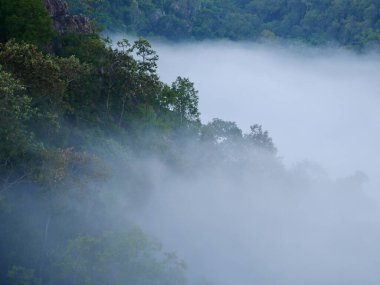 Sis dağların içinden akar, güneş tropikal ormanlara doğru parıldar, sisler sabah dağların tepelerinde sürüklenir, dağın tepesinde yavaşça süzülen sis örtüsü 