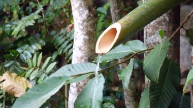 Geleneksel bambu çeşmesi zen taşları, Japon bambu çeşmesi, geleneksel Bambu Su Fıskiyesi Japon Bahçesi, bambu çeşmesiyle saflaştırma çeşmesini kapatın.