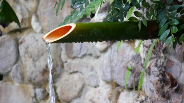 Fuente Bambú Tradicional Con Piedras Zen Fuente Bambú Japonés Fuente — Vídeos de Stock