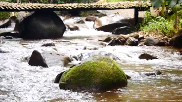 Ξύλινη Γέφυρα Πάνω Από Καταρράκτη Όμορφο Καταρράκτη Στο Πράσινο Δάσος — Αρχείο Βίντεο
