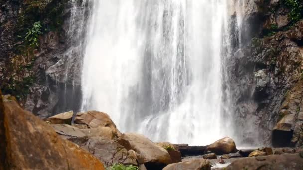 Mooie Waterval Groen Bos Jungle Waterval Textuur Prachtige Waterval Scenic — Stockvideo